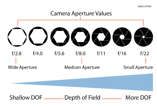 Sự khác biệt giữa f-stop và khẩu độ trong máy ảnh (Ảnh: Internet) 