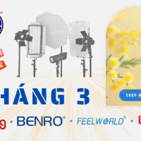 Ưu Đãi Tháng 3/2026: HL Studio Sale Đậm Chào Xuân Uu Dai Thang 3 2026 Hl Studio Sale Dam Chao Xuan