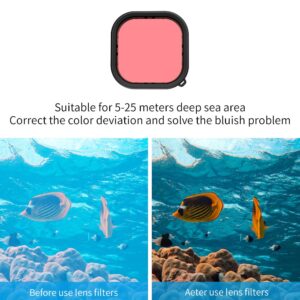 2026-10-13 TBQP Báo Giá Hà Nội - HCM - Telesin GP-WTP-904 – cho Gopro Hero 13/12/11/10/9 – Vỏ chống nước kèm theo kính lọc (tím/đỏ/đỏ tươi) 23 Telesin GP-WTP-904 – cho Gopro Hero 13/12/11/10/9 – Vỏ chống nước kèm theo kính lọc (tím/đỏ/đỏ tươi) chính hãng, hình ảnh thực tế mua tại HL Studio Phụ Kiện Studio 23