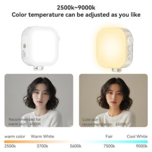 2026-10-14 TBQP Báo Giá Hà Nội - HCM - Telesin P5-BGD-03 – Đèn led Magnetic cho điện thoại 2000mAh 16 Telesin P5-BGD-03 – Đèn led Magnetic cho điện thoại 2000mAh chính hãng, hình ảnh thực tế mua tại HL Studio Đèn Led Quay Phim 16